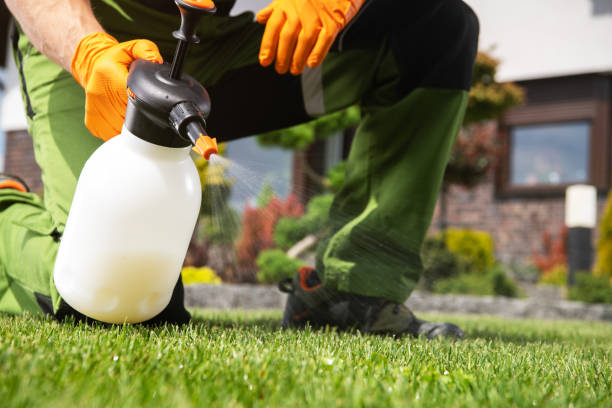 Best Rat Extermination Near Me  in Palmyra, MO