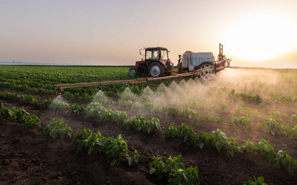 Best Ant Control Services  in Palmyra, MO