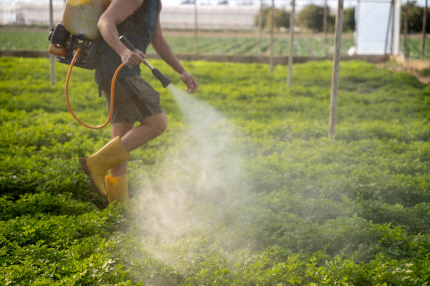 Best Pest Removal Services  in Palmyra, MO
