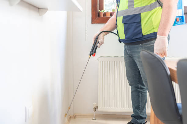 Best Cockroach Control Services  in Palmyra, MO