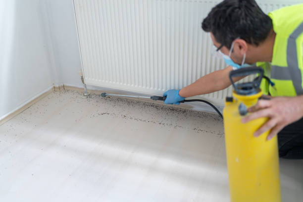 Best Bed Bug Extermination  in Palmyra, MO