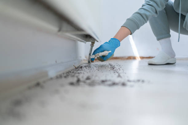 Best Best Pest Control Companies  in Palmyra, MO