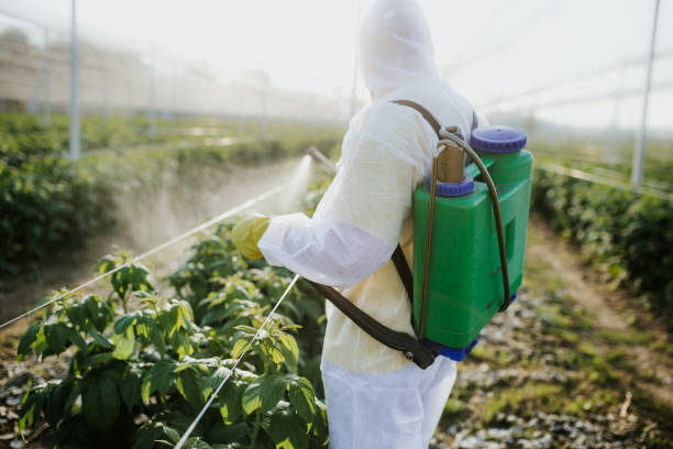 Best Pest Removal Services  in Palmyra, MO